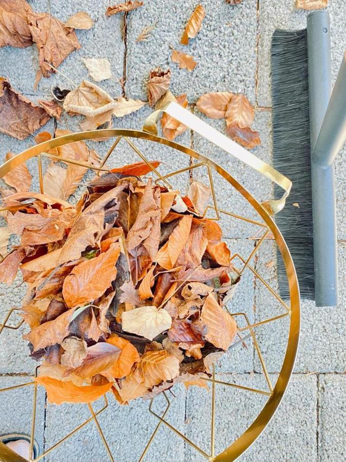 Ferienwohnung Oba'Doba Falke Pfronten Exteriör bild